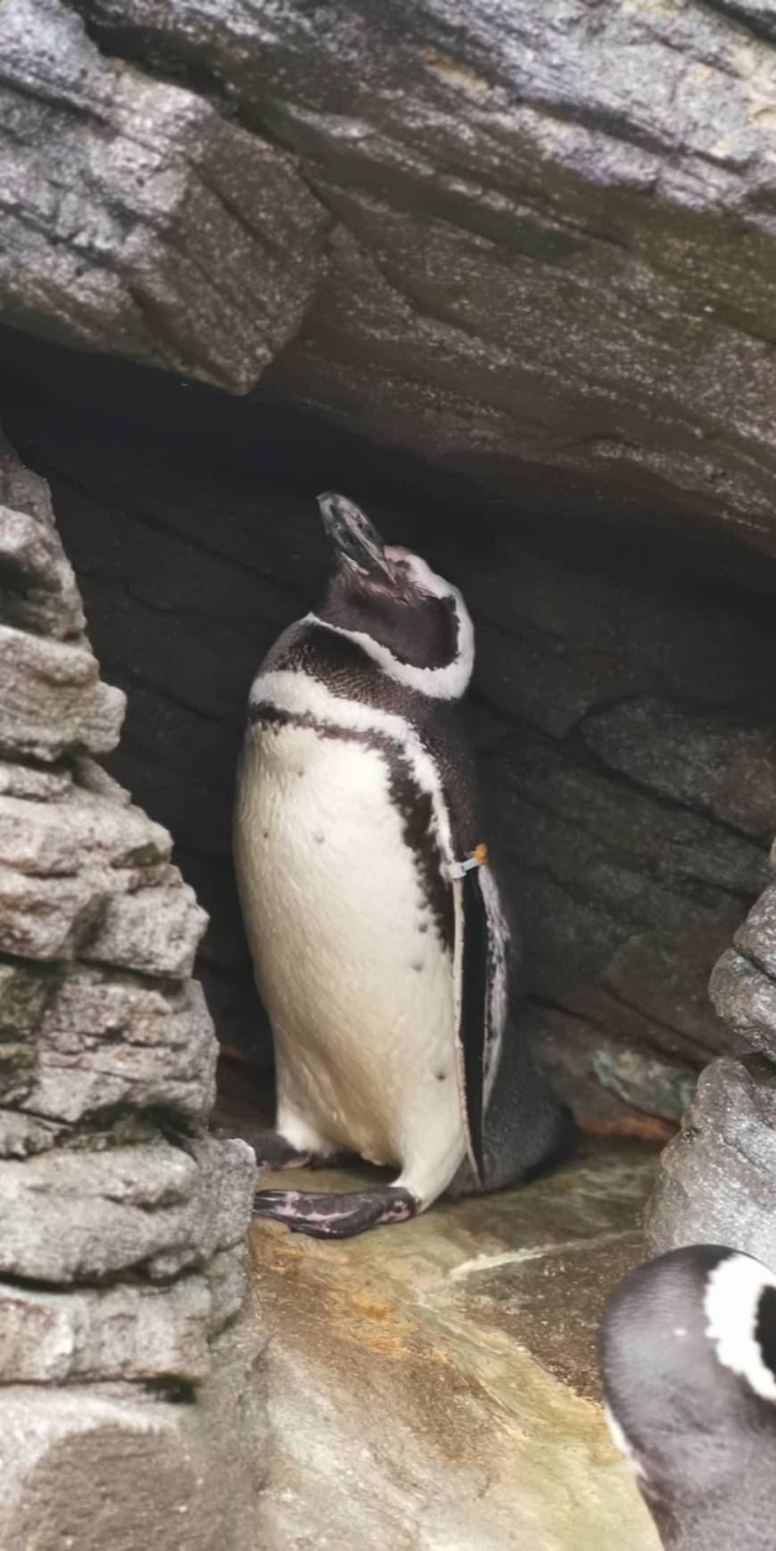 Place Oceanário de Lisboa