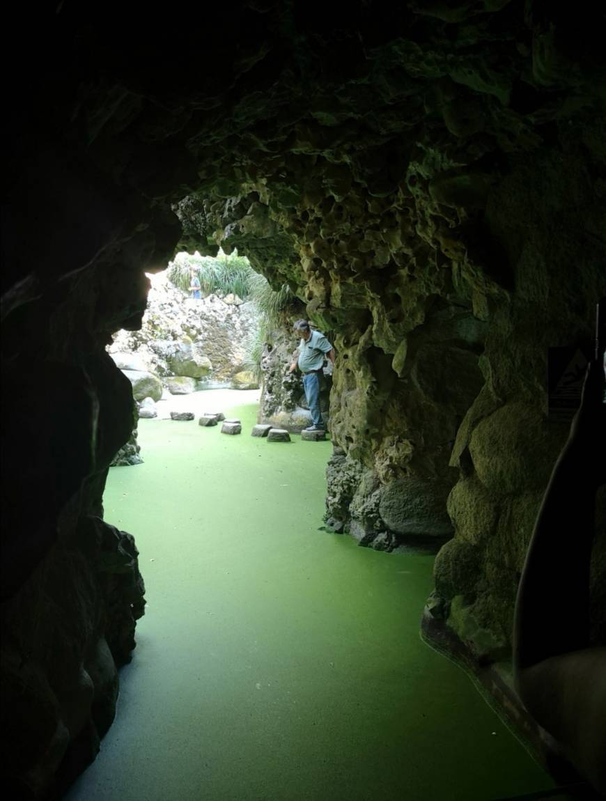 Place Quinta da Regaleira