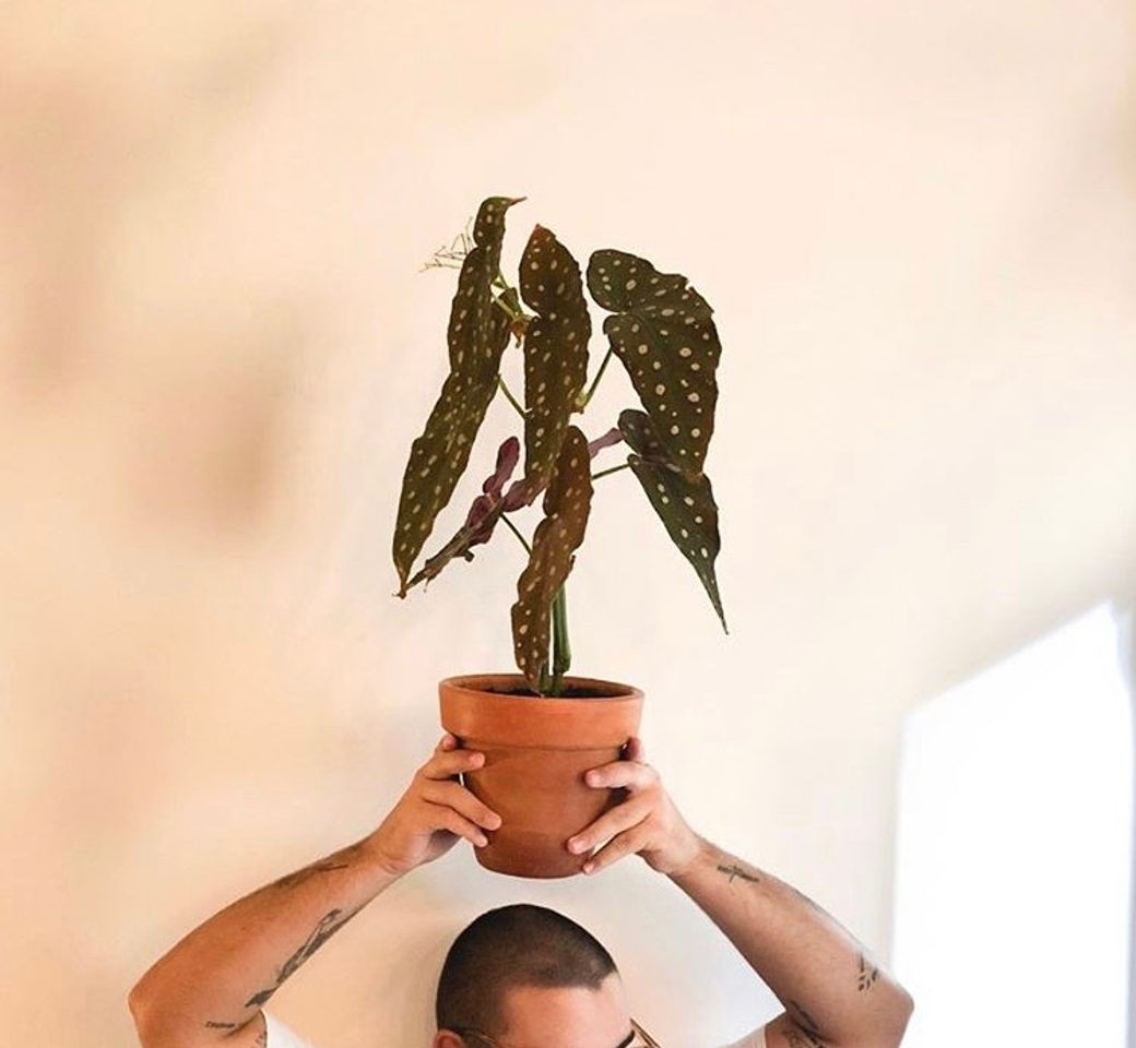 Social António Castro 