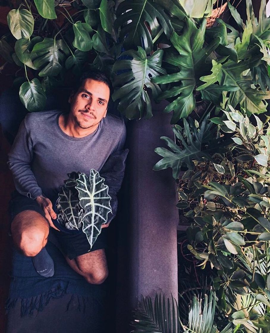 Social Thiago Medeiros