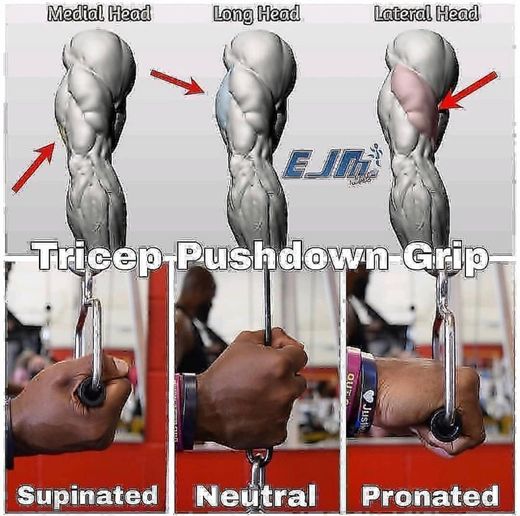 BUILD YOUR TRICEP💪💪💪💪🏋️‍♀️💪🏋️‍♀️🦍
