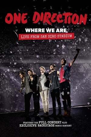 Película One Direction: Where We Are – La película del concierto