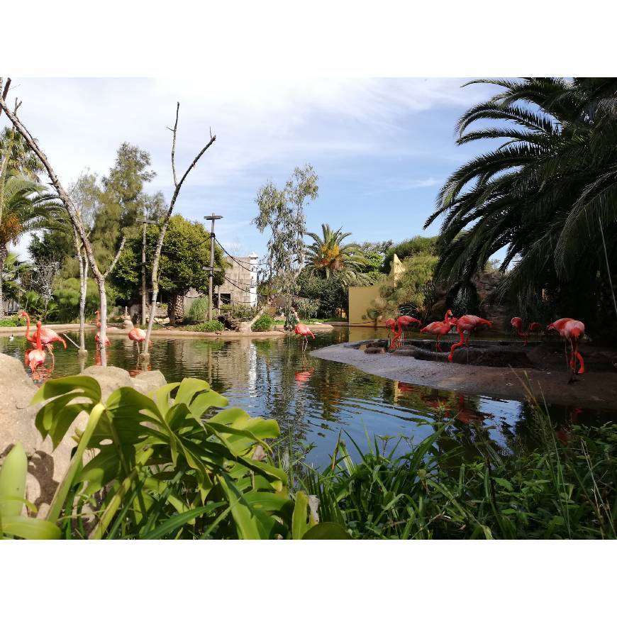 Lugar Zoo de Lagos
