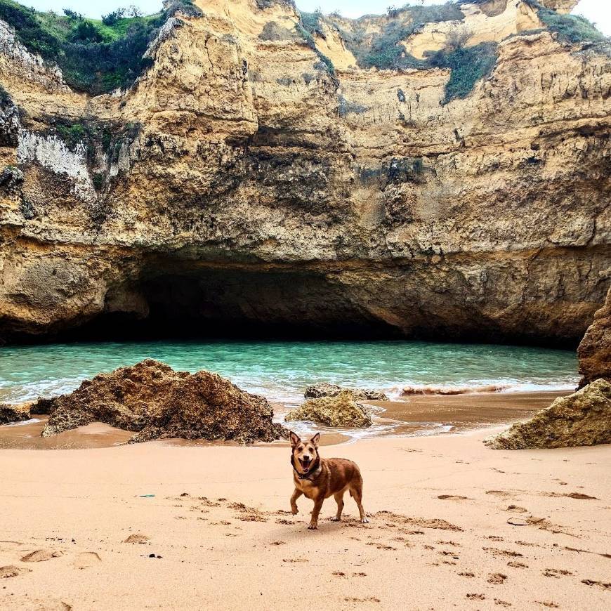 Lugar Ponta Grande Beach Cave