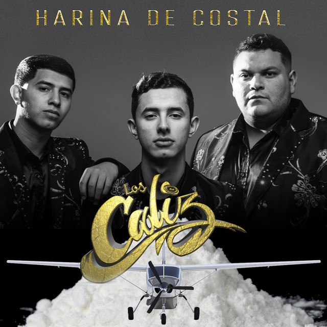 Canción Harina De Costal