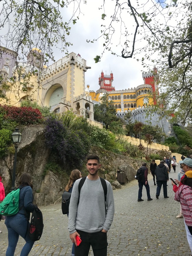 Place Palacio da Pena