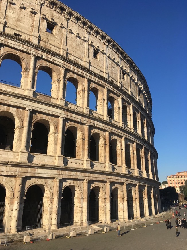 Lugar Coliseo de Roma