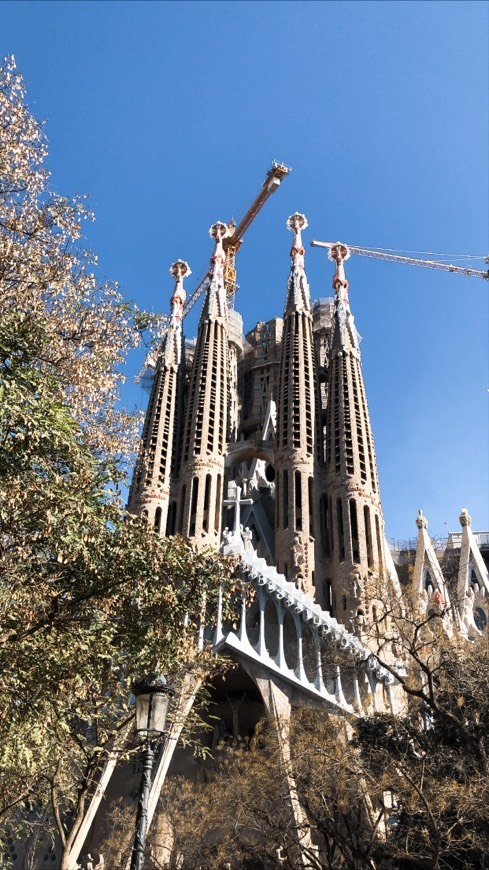 Place Basílica Sagrada Familia