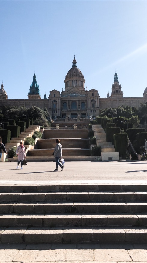 Lugar Museo Nacional de Arte de Cataluña