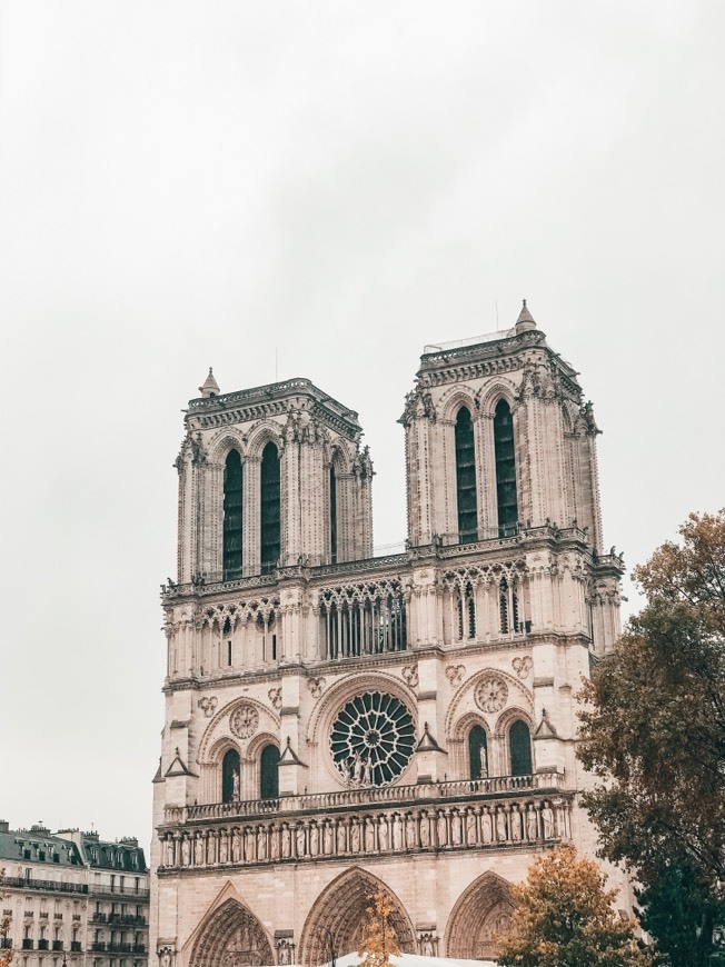 Place Catedral de Notre Dame