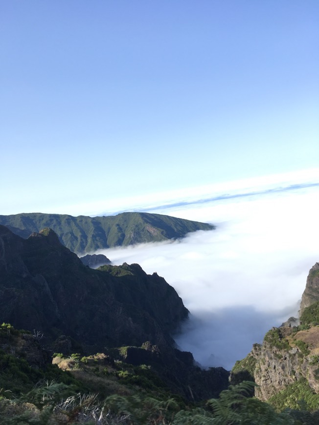 Place Madeira