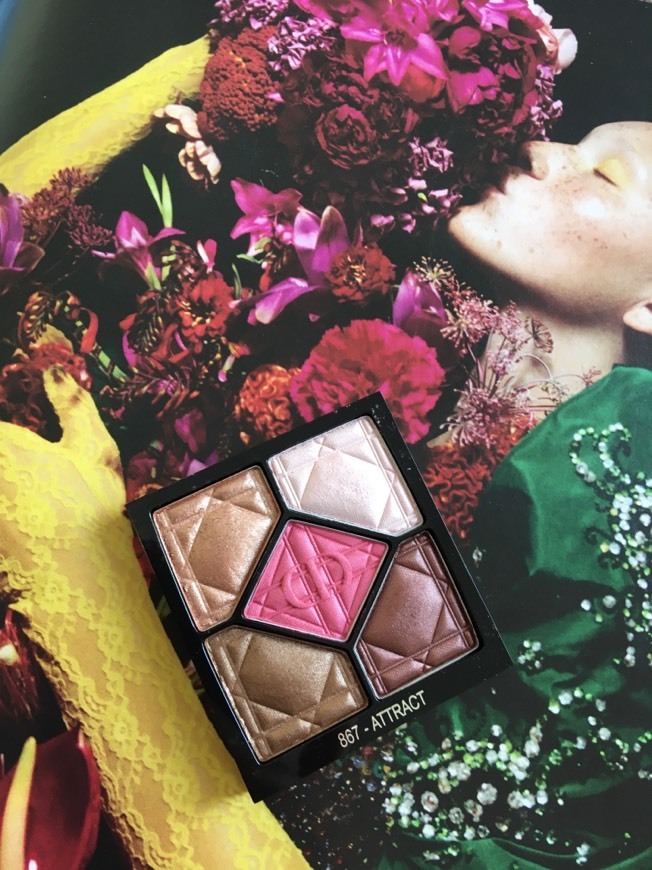 Social Dior 5 couleurs sombra de olhos 867