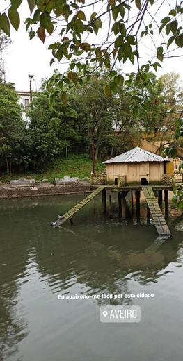 Parque da Macaca