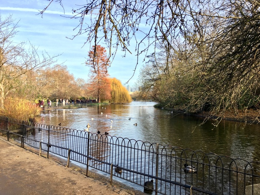 Place St. James's Park