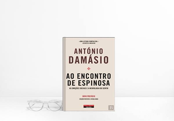 Libro Ao encontro de espinosa