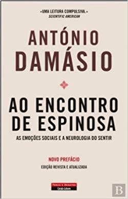 Libros Ao encontro de espinosa