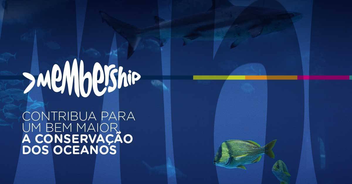 Oceanário de Lisboa 