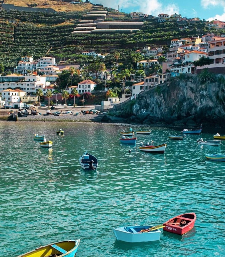 Lugar Câmara de Lobos 