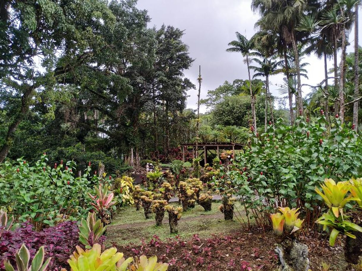 Lugar Jardin de Balata