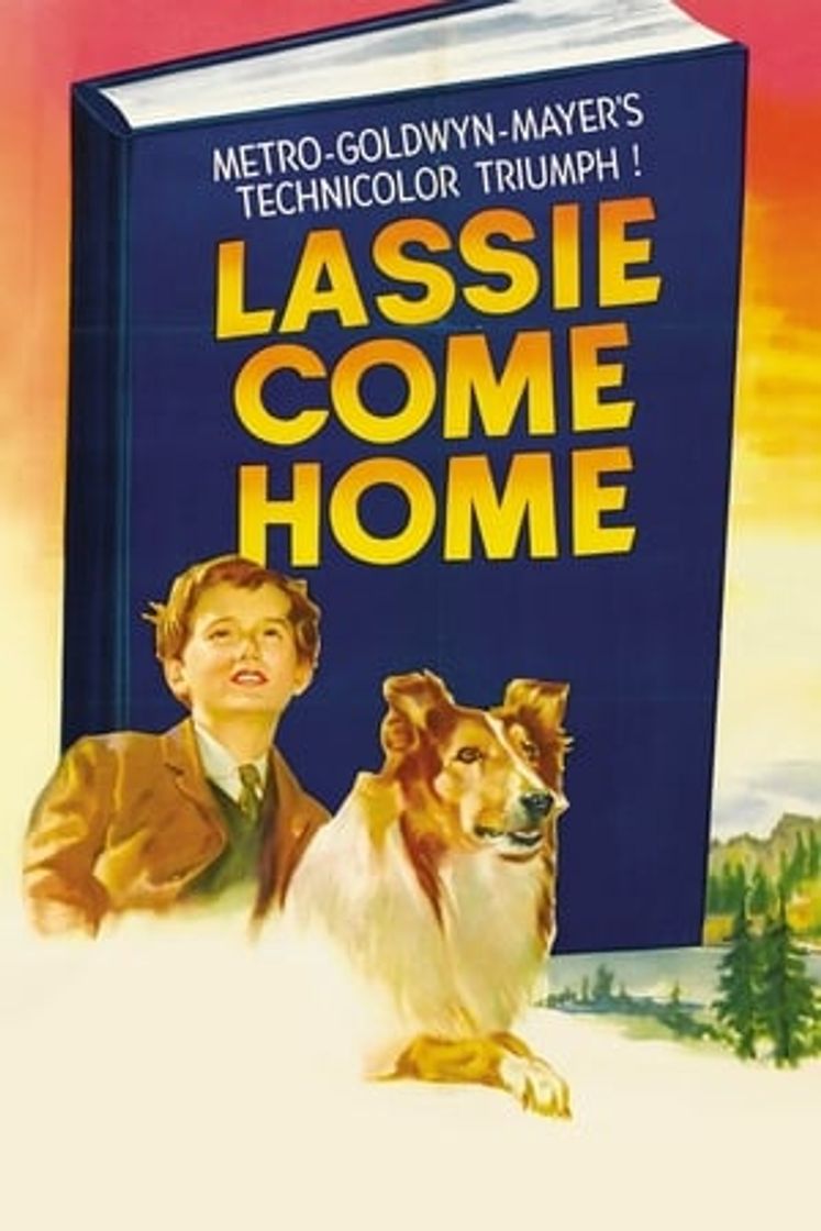Movie Lassie, la cadena invisible