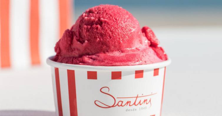 Social GELADOS SANTINI