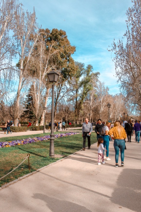 Place Parque de El Retiro