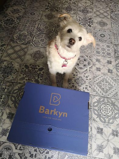 Barkyn box