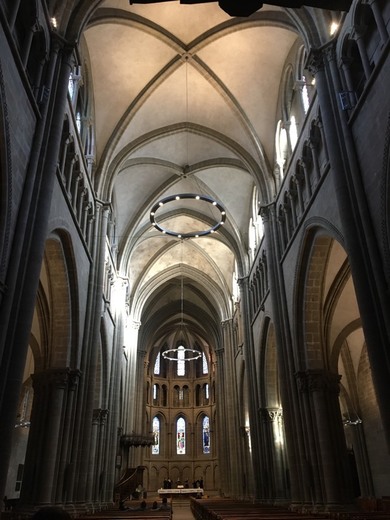 Catedral de San Pedro de Ginebra