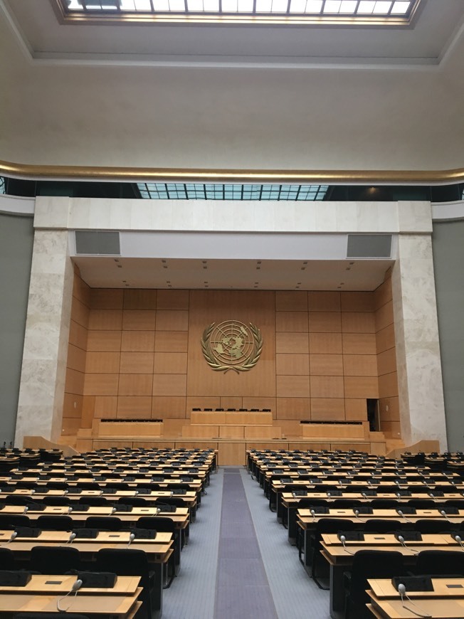 Lugar ONU