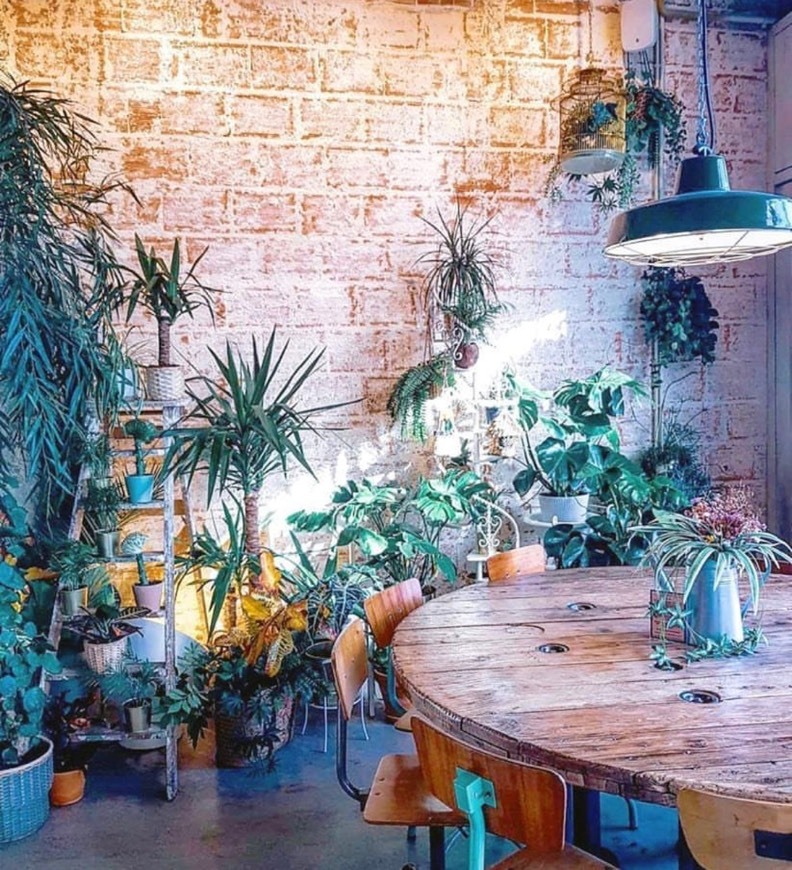 Restaurants Fauna e flora