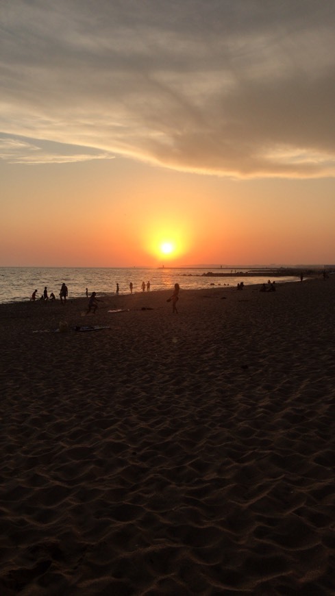 Lugar Praia do Forte Novo