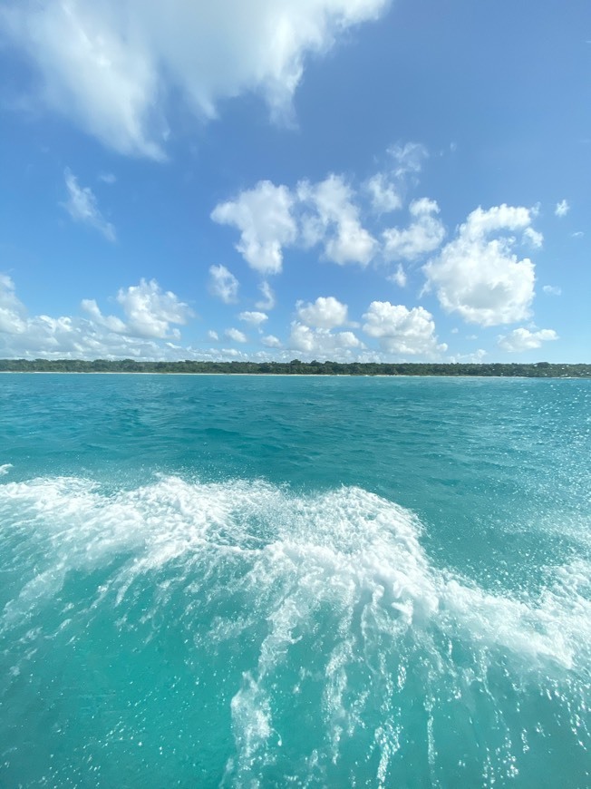 Lugar Isla Saona