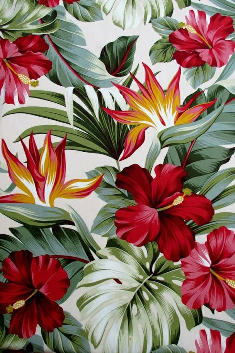 🌺