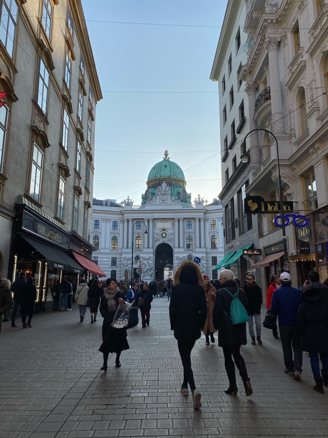 Lugar Hofburg Palace