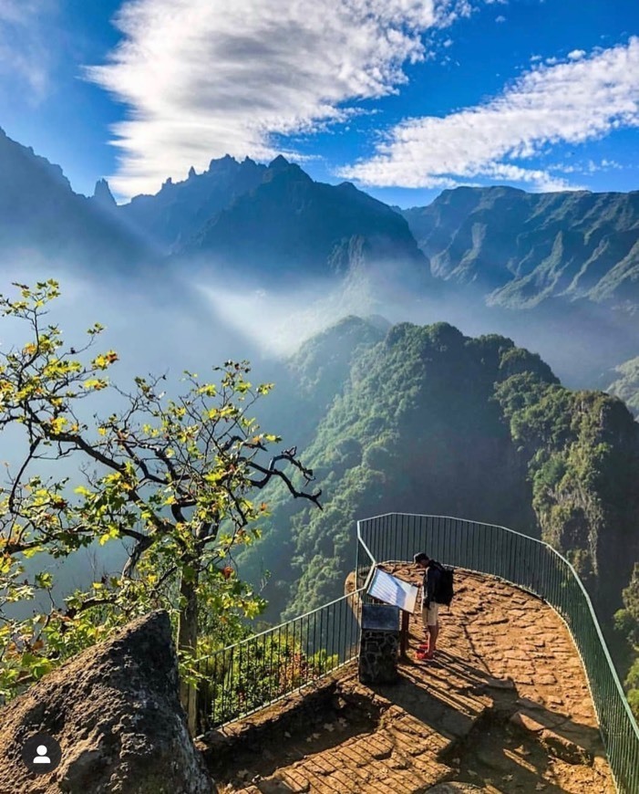 Social Parque Natural de Ribeiro Frio, Madeira