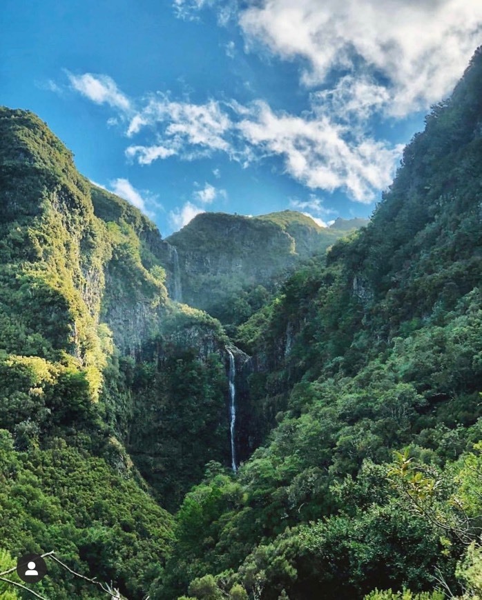 Social Rabaçal: Levada 25 Fontes / Do Risco / Rocha Vermelha / Alecrim ...
