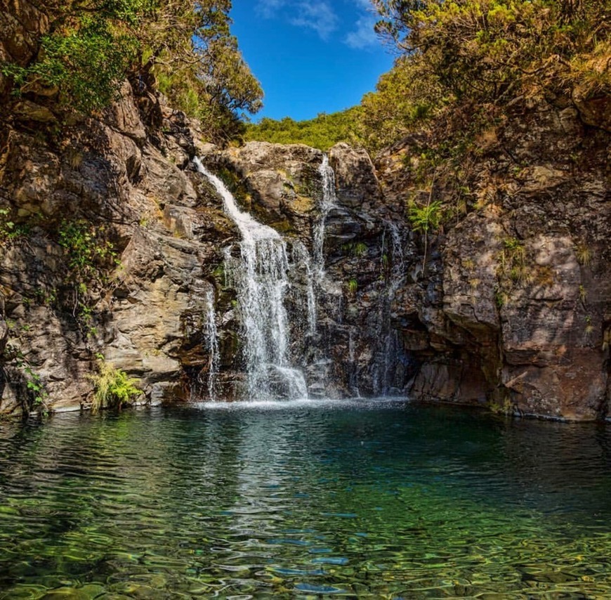 Social Levada do Alecrim