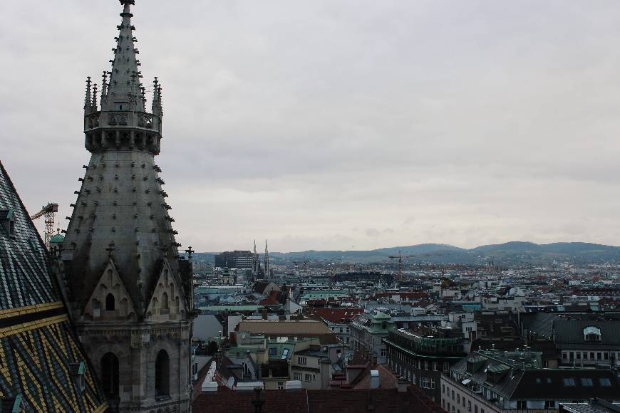 Place Saint Stephen’s Cathedral