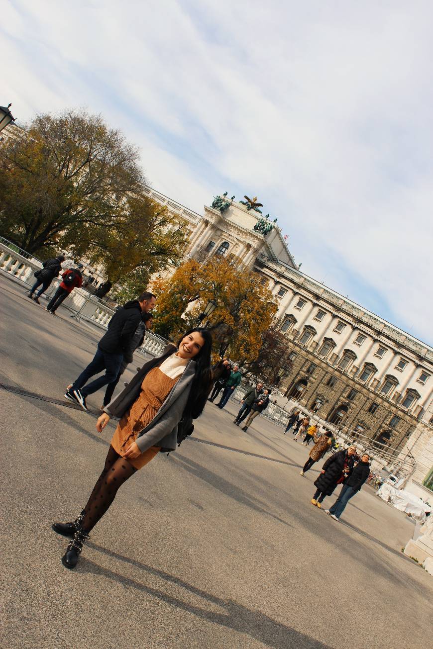 Lugar Parlamento de Viena