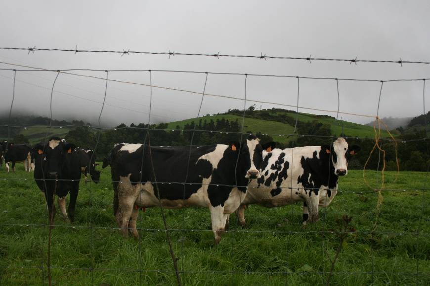 Lugar Açores