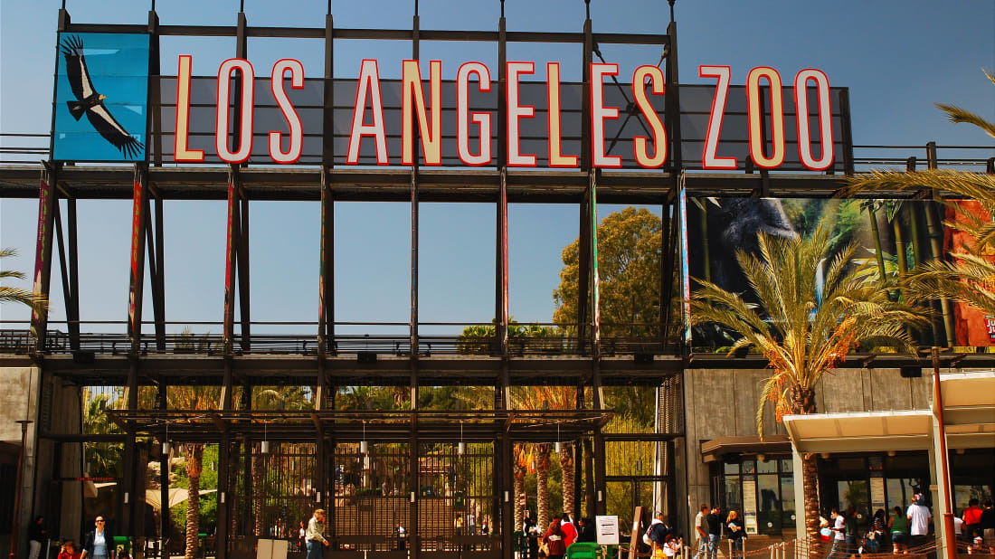 Lugar Zoológico de Los Ángeles