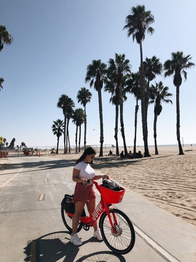 Venice Beach Boardwalk