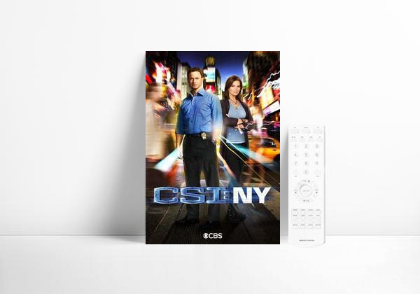 Série CSI: Nova York