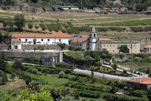 Mosteiro de Santo André de Ancede