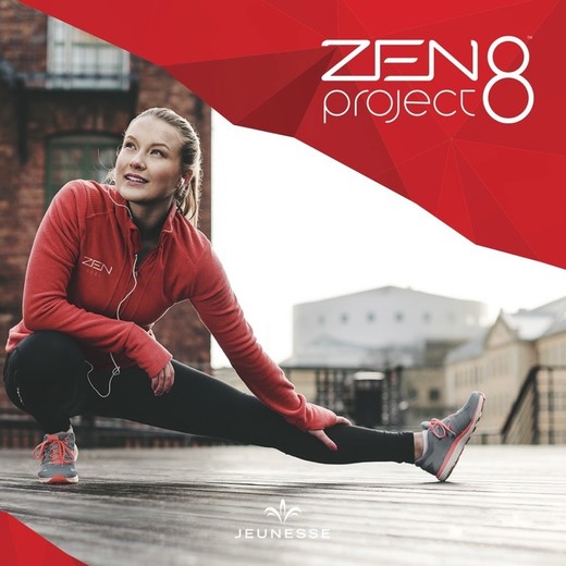 ZEN Project 8