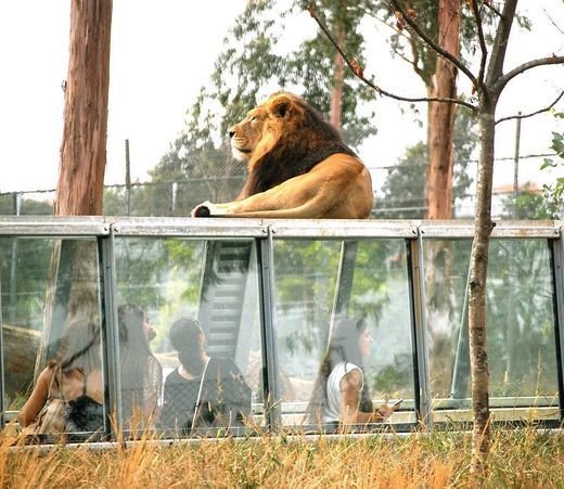 Place ZOO Santo Inácio