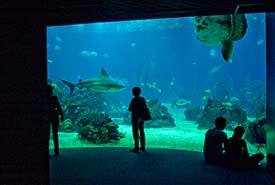 Oceanario de Lisboa