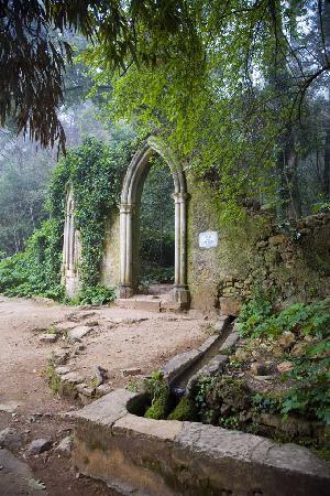 Lugar Fonte dos Amores