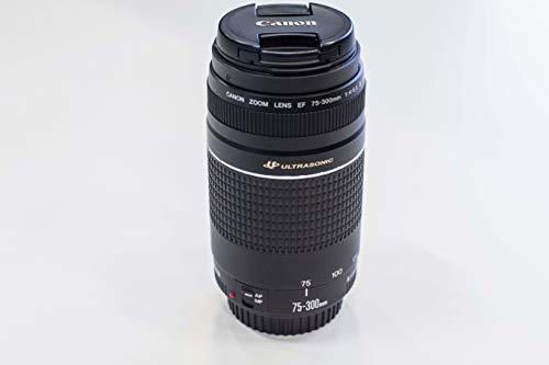 Canon EF 75-300mm f/4-5.6 III Objetivo Para Canon Cámaras Réflex Digitales