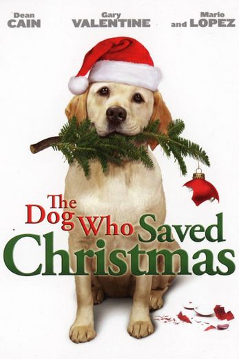 O cão que salvou o natal